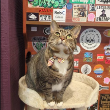 RIGS Smoke Shop thumbnail